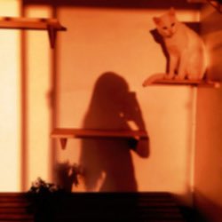 louder than bombs