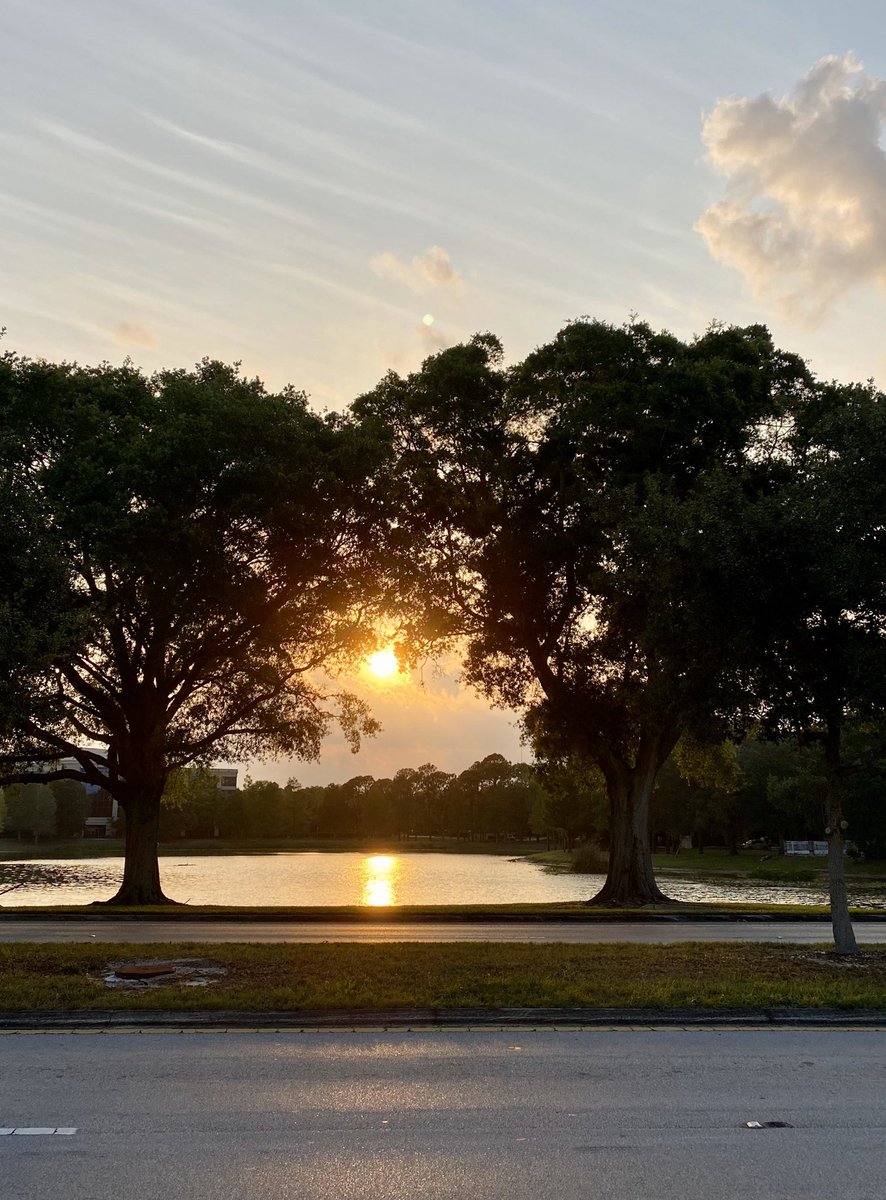dolbyl's tweet photo. Start of week 4 for remote work and it was a good start. Now I get to close my day and share a #floridasunset with you ๐๐ปโโ๏ธ. Get outside if you can, #walkforexercise and #StayHealthyEveryone ๐. #MondayMotivation #MondayVibes #sunset #sunsets https://t.co/2GYzkp7lQP