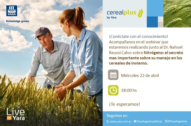 m_deromedi's tweet photo. Los invitamos a sumarse! Semana que viene disertación online de @ReussiNahuel sobre manejo del Nitrógeno en cereales de invierno y la solución #CerealPlus de @YaraArgentina @YaraLatam
#QuedateEnCasa #OneYara https://t.co/TF6yvEyynk