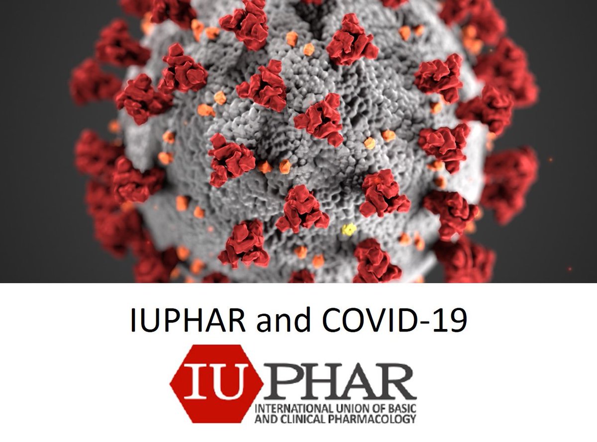 In case you haven't seen it IUPHAR is responding to #Coronavirus by coordinating pharmacological resources. iuphar.org/coronavirus-ne…. We are maintaining links and with up to date information. Big thanks to all the pharmacologists worldwide that are contributing to these resources!