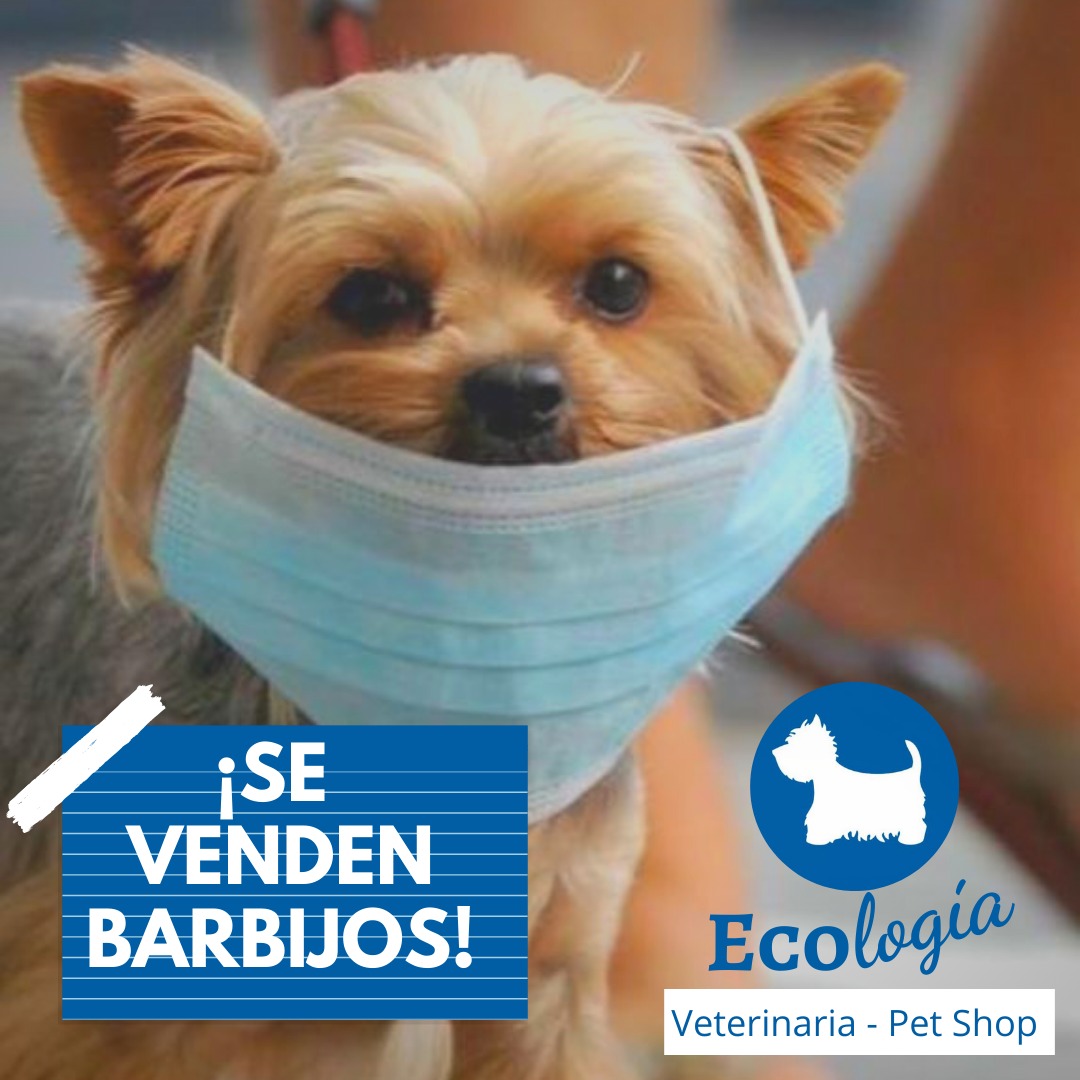 🐇DELIVERY VETERINARIA Nva cba! POR PEDIDOS Y CONSULTAS, Comunicate con nosotros ❤🔽
📍ituzaingo 1005 esq. Estrada
 📲351 342-3428 
📌Veterinariaituzaingo (instagram) 
<a href="/VivirEnNuevaCba/">Vivir en Nueva Cba</a>
<a href="/VivireNuevaCba/">VivirenNuevaCórdoba®</a> 
<a href="/yo_nva/">YoVendoNvaCba</a> 
<a href="/VivireNuevaCba/">VivirenNuevaCórdoba®</a> 
<a href="/VendeNvaCba/">VendeNvaCba</a> 
<a href="/VendoTo2NvaCba/">Compra y Venta</a>