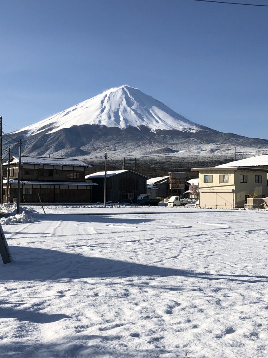 tsk_ynu's tweet image. 4月なのに実家がこの光景なの信じられん