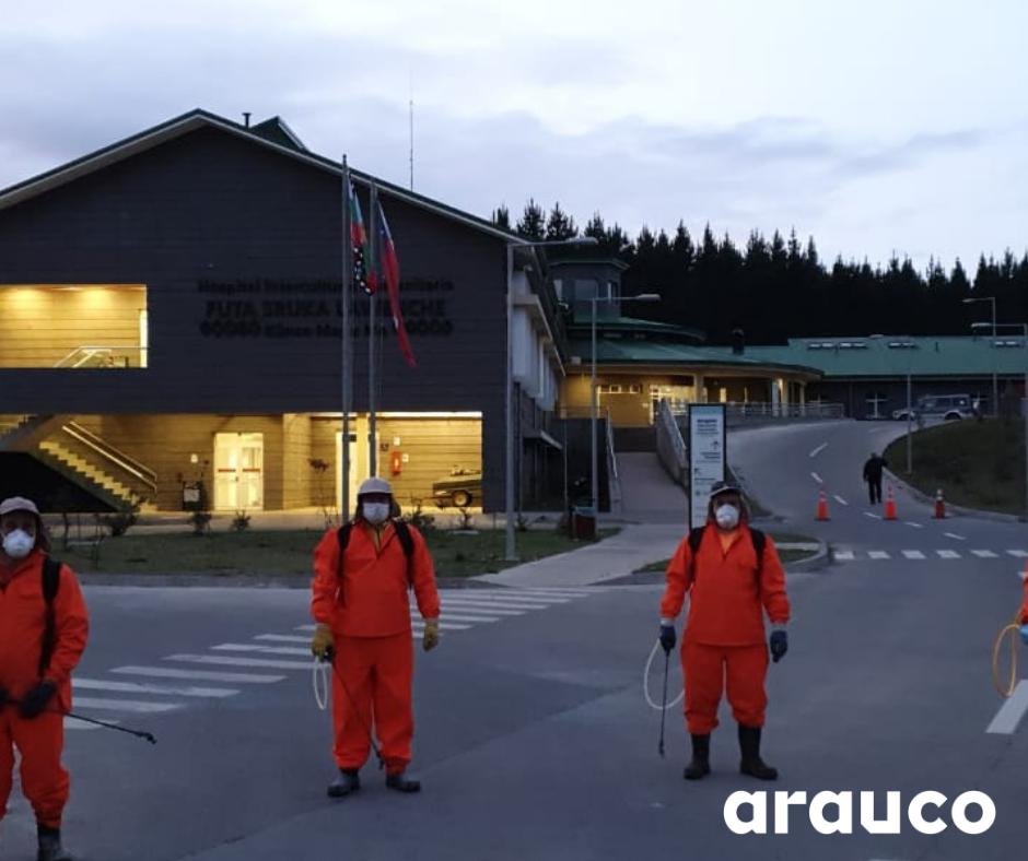 Arauco tweet media