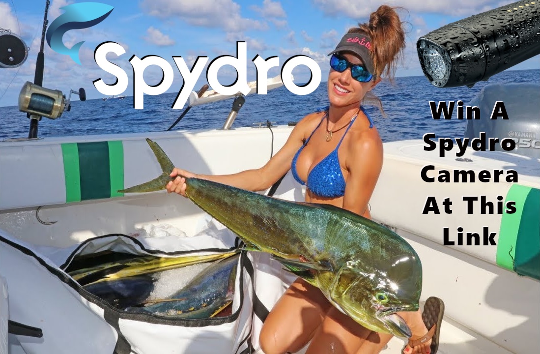 Enter the Spydro Fishing Camera Giveaway:
1. Go to this Spydro Facebook Post - ow.ly/m20k50zd8iB  and post a favorite fishing picture
2. Like the Spydro Facebook page
3. Your entered, but 
4. There are a few extra ways in the rules to enter a few more times.