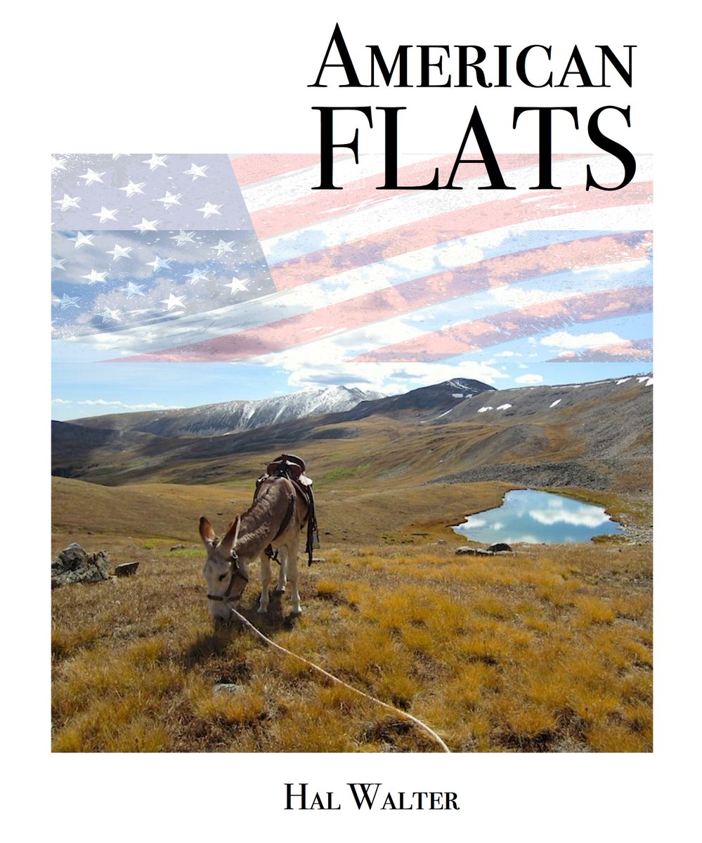 Download my FREE ebook of non-fiction essays here: smashwords.com/books/view/101…