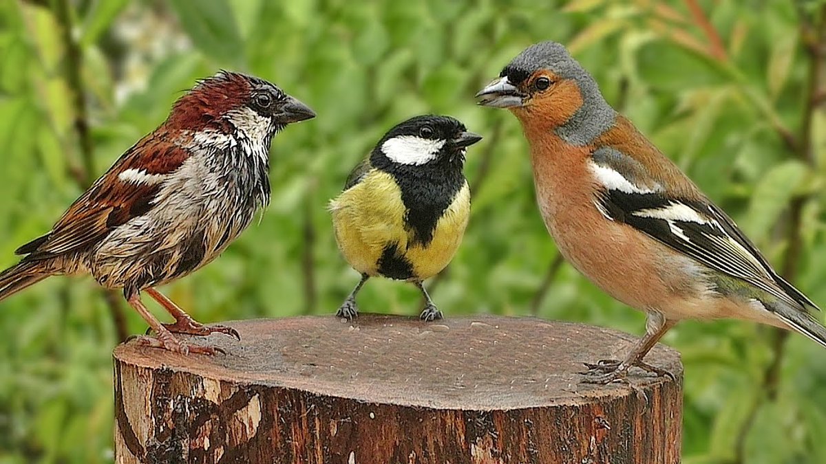 Kevin Bundy tweet media