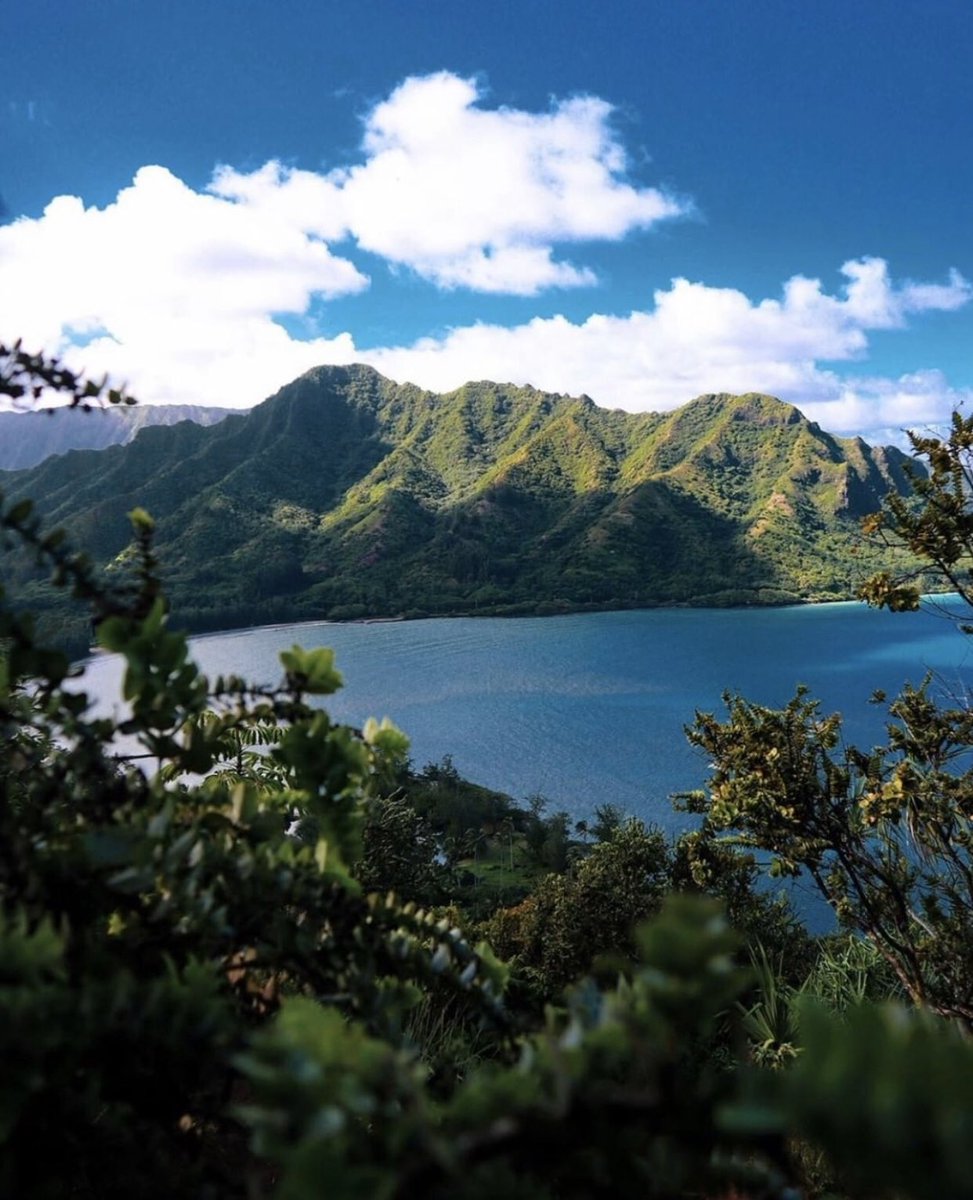 Today we’re dreaming of paradise and counting down the days until we’re out and about again.

What are you dreaming about in quarantine?

🌺 @braxxtondemello 🌺

#OlaProperties #VisitOahu #VisitKoOlina #KoOlina #ILoveOahu #BeachBum #VisitTheIslands #ExploreHawaii