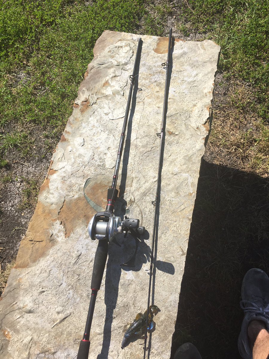 jscott3705's tweet photo. Guess who’s gonna get a new rod🤣😂 https://t.co/ezRUV36TI9