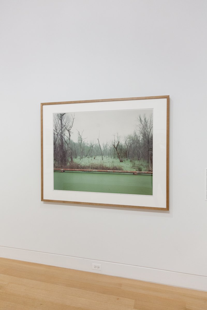 DePaulArtMuseum's tweet photo. #RichardMisrach's photograph of Cancer Alley, a heavily polluted stretch of Louisiana along the Mississippi River, calls attention to the region's increased rates of cancer and illness among the communities living nearby. Learn more: https://t.co/abVj6AbpXW #DigitalDPAM https://t.co/2uNB4fGVx0