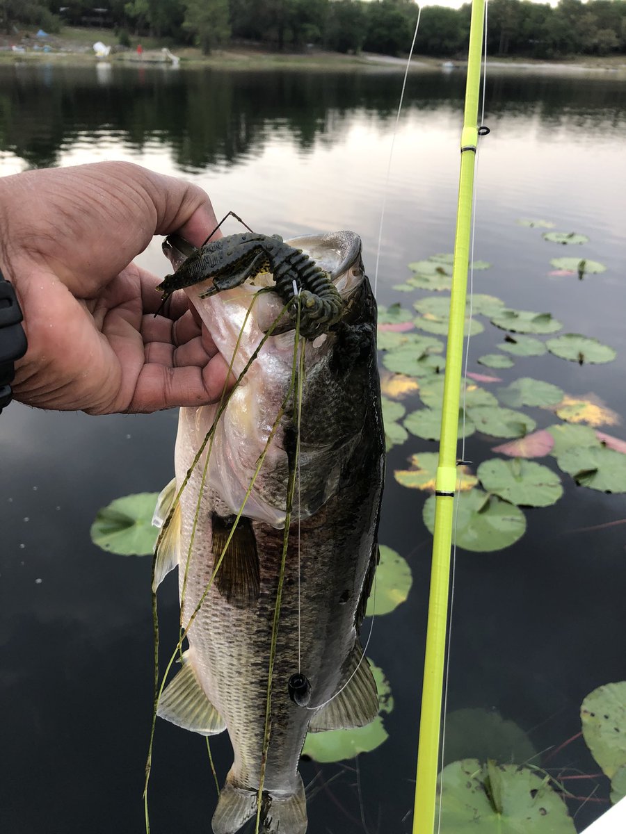henrymfishing's tweet photo. @VectorHooks @EnigmaFishing @ArdentReels  pulled this baby out of the grass https://t.co/sA4S8PCAul