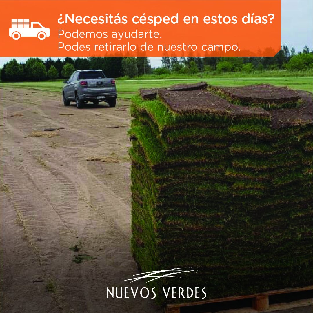Estamos en nuestros campos de producción para lo que necesites. 011 1560922333. Capilla del señor