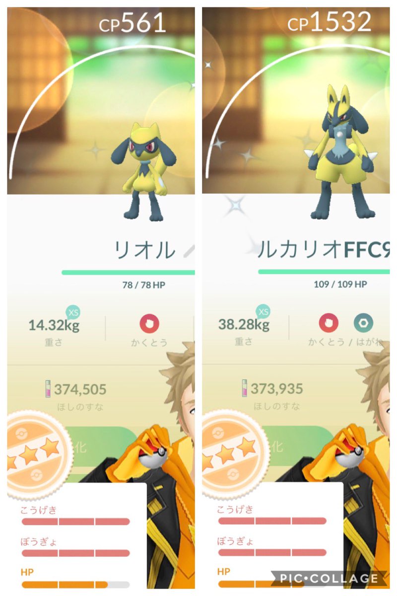 ポケモンgo 黄 Tl43 昨日 2kmたまごからリオルffc93 3 しかも色違い 即進化で初ルカリオ 笑 Cp1500を超えたのは痛いー ポケモンgo リオル 色違い 2kmたまご T Co Gl09erwiud Twitter