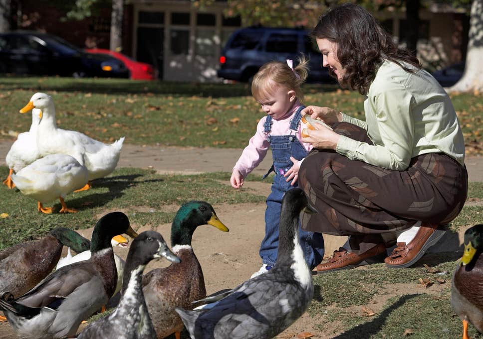 herbivore_club's tweet photo. How to confuse a child.
#NationalDucklingMonth
#DucklingMonth ๐ฆ https://t.co/Fdl69GrqE6