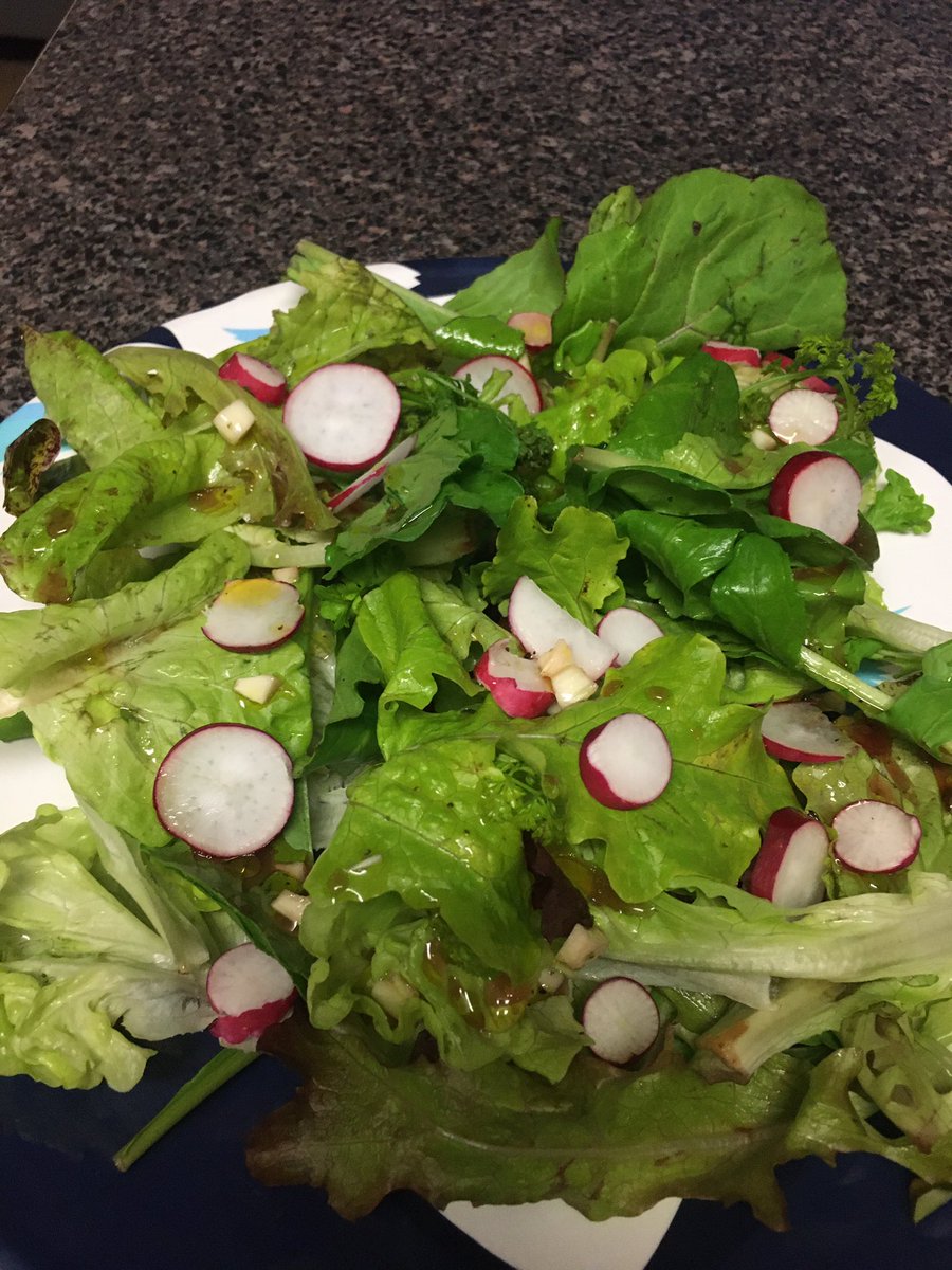 GayleOng's tweet photo. Garden salad dressed with olive oil, plum shrub, garlic, sea salt and pepper. Greens and radishes from Cannard Family Farm in Sonoma County #csabox #bayareafarmers #farmtotable #yum https://t.co/2Sji44KXWM