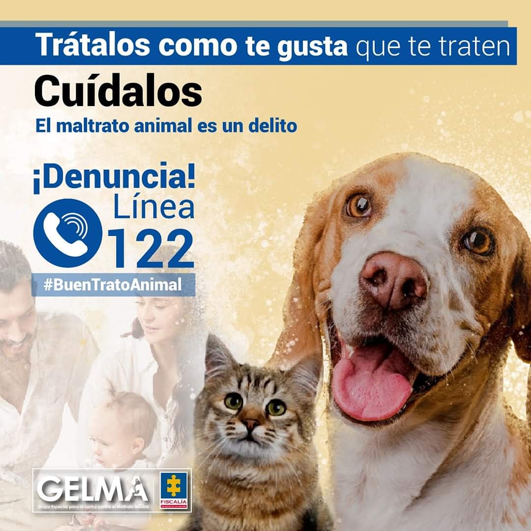 ¡El maltrato animal es un delito! En el aislamiento preventivo protege a los animales y trátalos como te gusta que te traten. 

Denuncia cualquier agresión desde un celular en la línea 122 o en: denunciaanonima@fiscalia.gov.co #BuenTratoAnimal