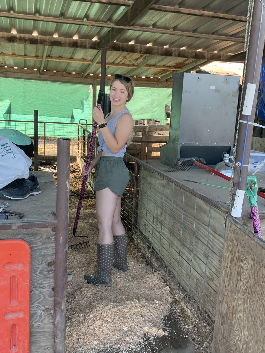 fleonard45's tweet photo. @Gloria7010 Tank’s pen is all clean and neat! He’s one Happy Pig!🐷 https://t.co/wEgrEhXWFw