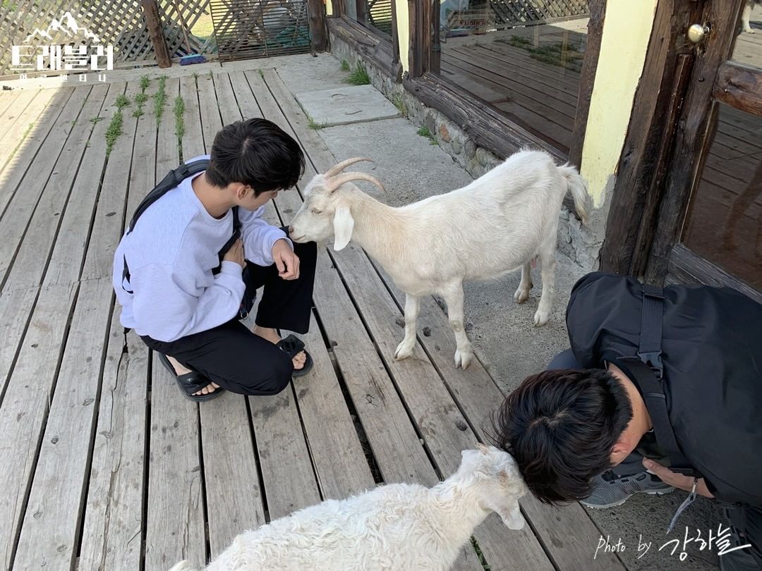0hMy0ng's tweet photo. Onge 🐐 https://t.co/qKeqwCEoRF
