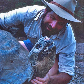 TurtleExp tweet picture