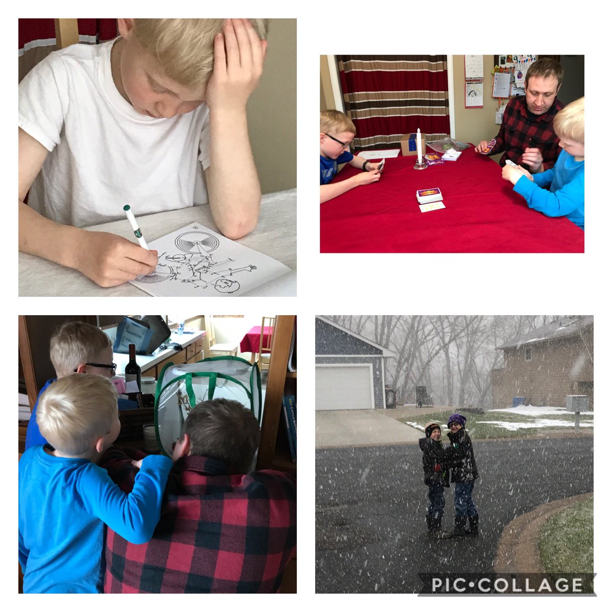 BNL_Gruenke's tweet photo. Day 29- Everything worked well for Distance Learning today! π€ we learned a new game and watched our praying mantises eat. #yikes #MarvelousMonday #aprilsnowagain https://t.co/z07IeohcRv
