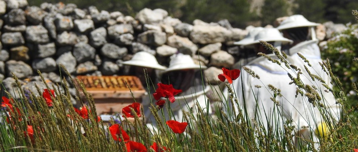 #apiturismo después de la cuarentena.