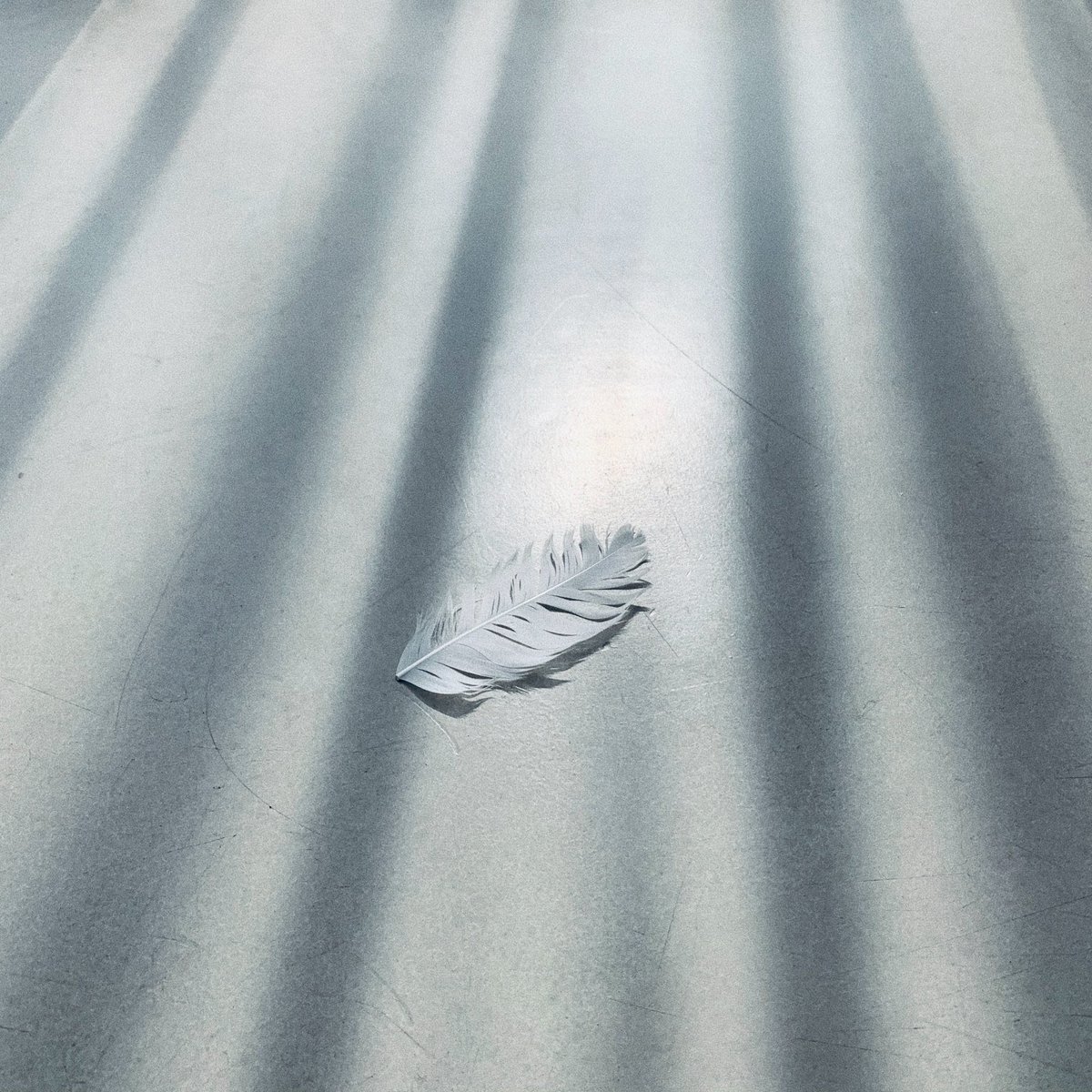 i-dle (아이들) tweet media