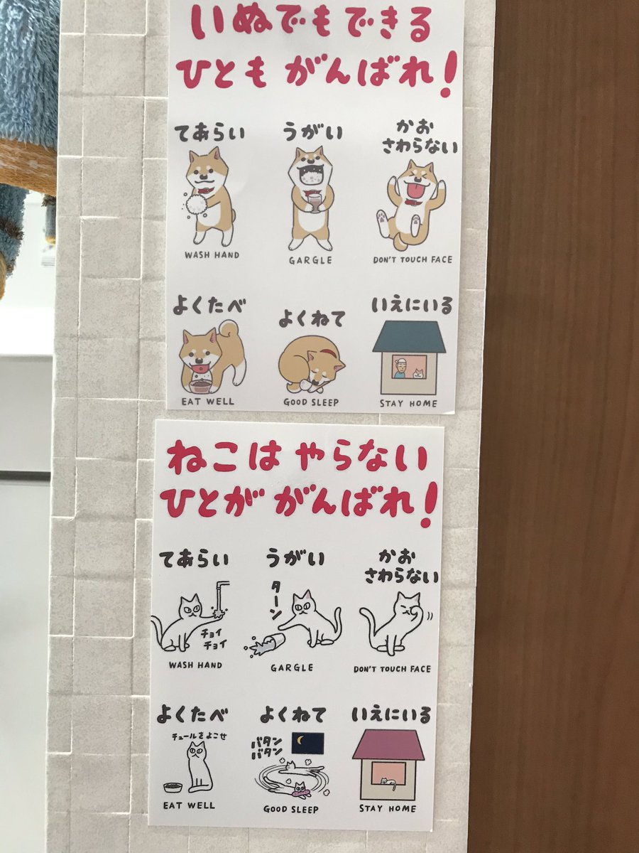新型コロナウイルス対策を犬さんと猫さんがかわいく啓発するポスターがわかりやすい 子ども目線に両方貼ってあります Togetter 新型コロナウイルス対策を犬さんと猫さんがかわいく啓発するポスターがわかりやすい 子ども目線に両方貼ってあります Togetter