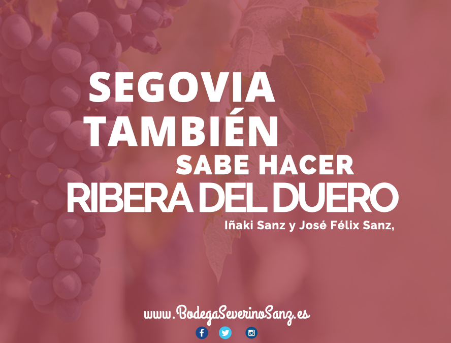 #QUOTE 
"Segovia también sabe hacer Ribera del Duero".
¿Quieres probar nuestros vinos?
Visita nuestra tienda Online
► bodegaseverinosanz.es ◀︎
#vino #culturadelvino #bodegas #enoturismo #segovia #vinoymoda #wine #winelovers #maridaje #enoinfografia