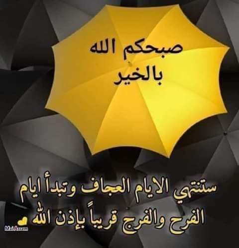 abood8970's tweet photo. الأيام القادمة ستكون مثل حصاد يوسف بعد تعبه وراحة أيوب بعد صبره
فقط ثِق بالله وقل يارب
صباح اااالخير🌹 https://t.co/CTbdRw1eEM