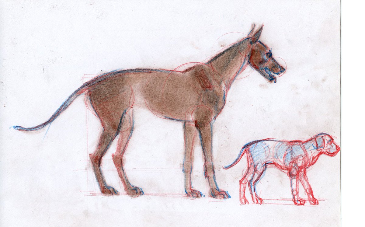 art_bat's tweet photo. 20200411 A simple drawing of a dog.
Full video: https://t.co/UXqI3NzAIT
#children_drawing #drawing #drawing_for_the_little_ones #animals #animalistic #dog #simple_drawing #for_kids #draw_leson #art_lesson #drawleson #artlesson #simple #ArtBatDiversion https://t.co/X7E5IPnxvN