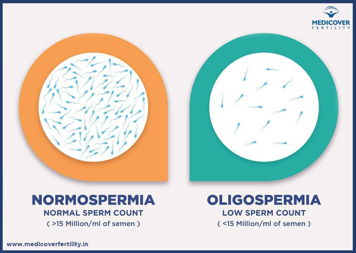 MedicoverIND's tweet photo. Low Sperm Count is a Major Cause of Infertility in Men!
Medicover Fertility is a Pioneer in Providing Infertility Treatment for both Men and Women!
+91-8929-000-288
https://t.co/jRM87QWAyj

#ThinkFertilityThinkMedicover #lowspermcount #spermcount #maleinfertilitytreatment https://t.co/geHE1S7pkq