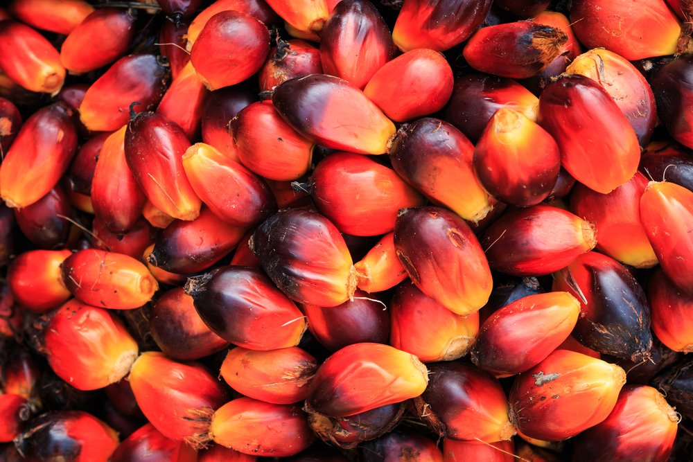 Agriculture by S&P Global Energy tweet media