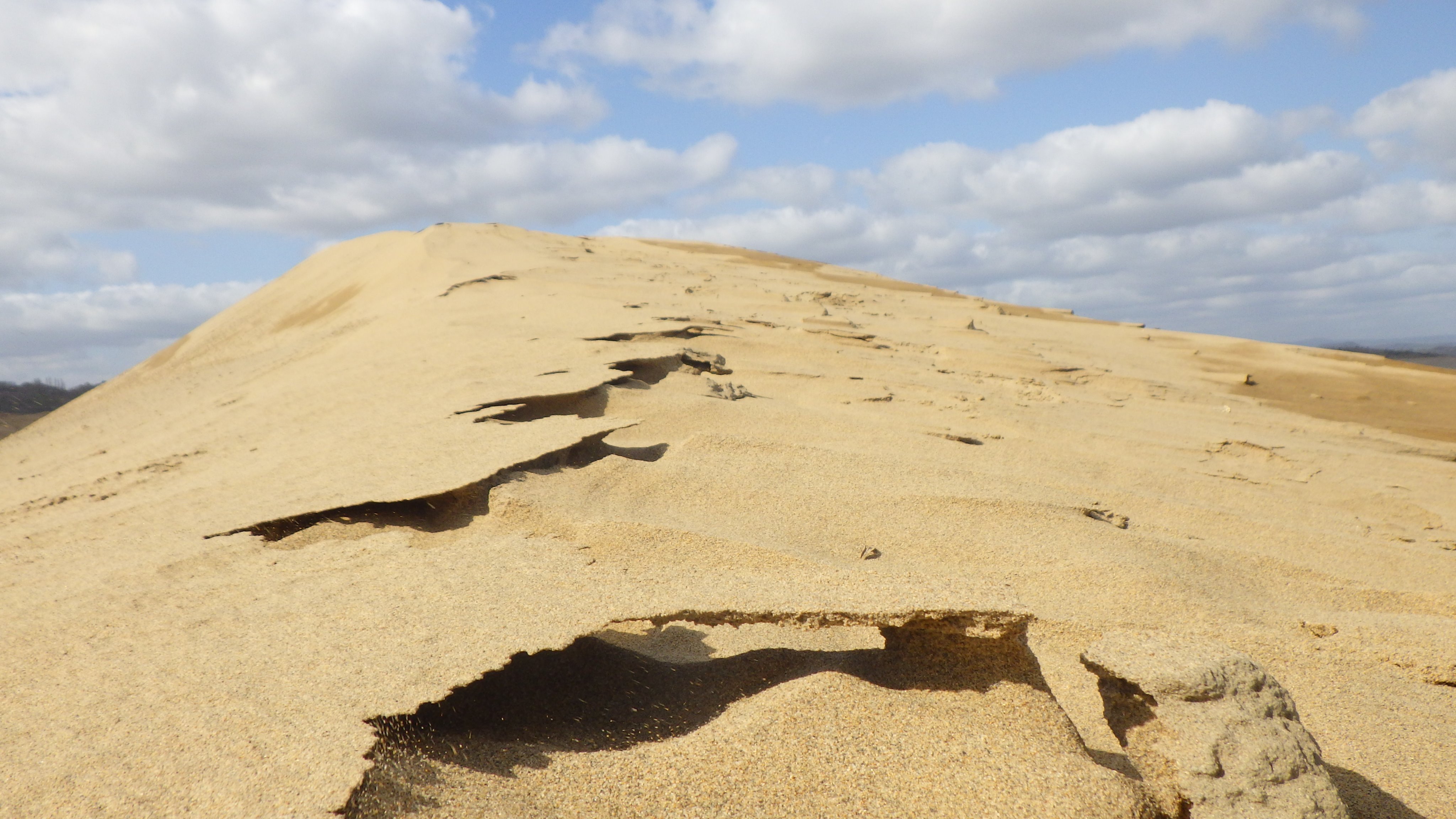 鳥取砂丘ビジターセンター 見どころその２ 砂の模様いろいろ 今日見られる風と砂が作る模様は砂柱 だけではありません 風で削られてできた砂の模様や 風紋 そして砂簾 されん も見られます 山陰海岸国立公園 山陰海岸ジオパーク 今日の鳥取砂丘