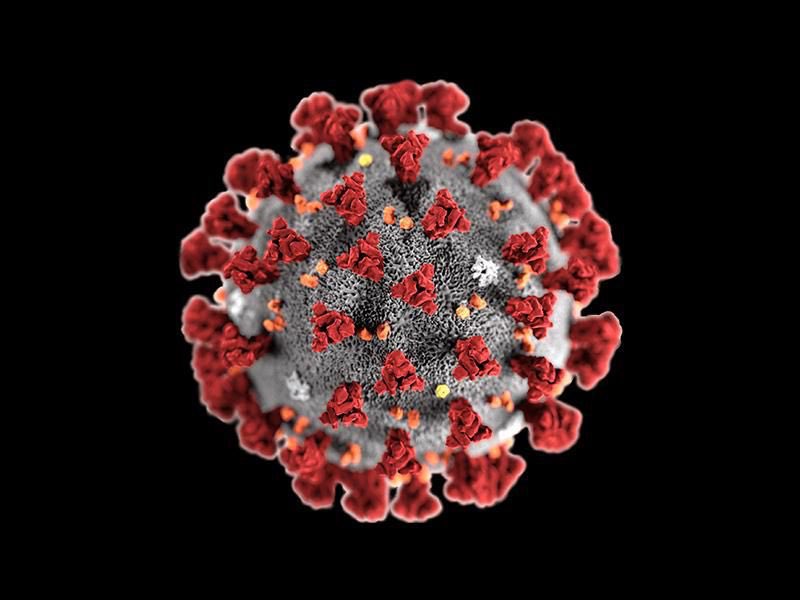 The list of quarantinable diseases includes cholera, diphtheria, infectious tuberculosis, plague, smallpox, yellow fever, viral hemorrhagic fevers(such as Marburg, Ebola, and Congo-Crimean), and newly added COVID-19