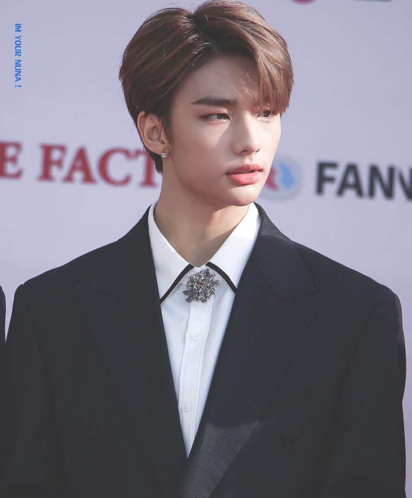 Hyunjin as Endorsi Jadah - Fairy looking- Princess/ Prince - Very ambitious - Popular - Loves the attention - A total drama queen
