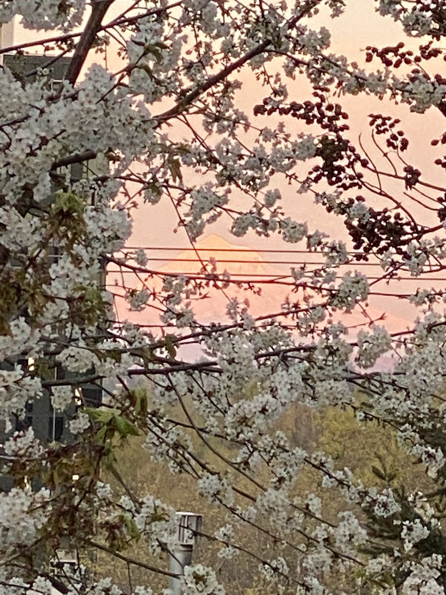 The mountain is calling but we can’t go 😭#StayHomeSaveLives #COVID19 #PhysicalDistancing