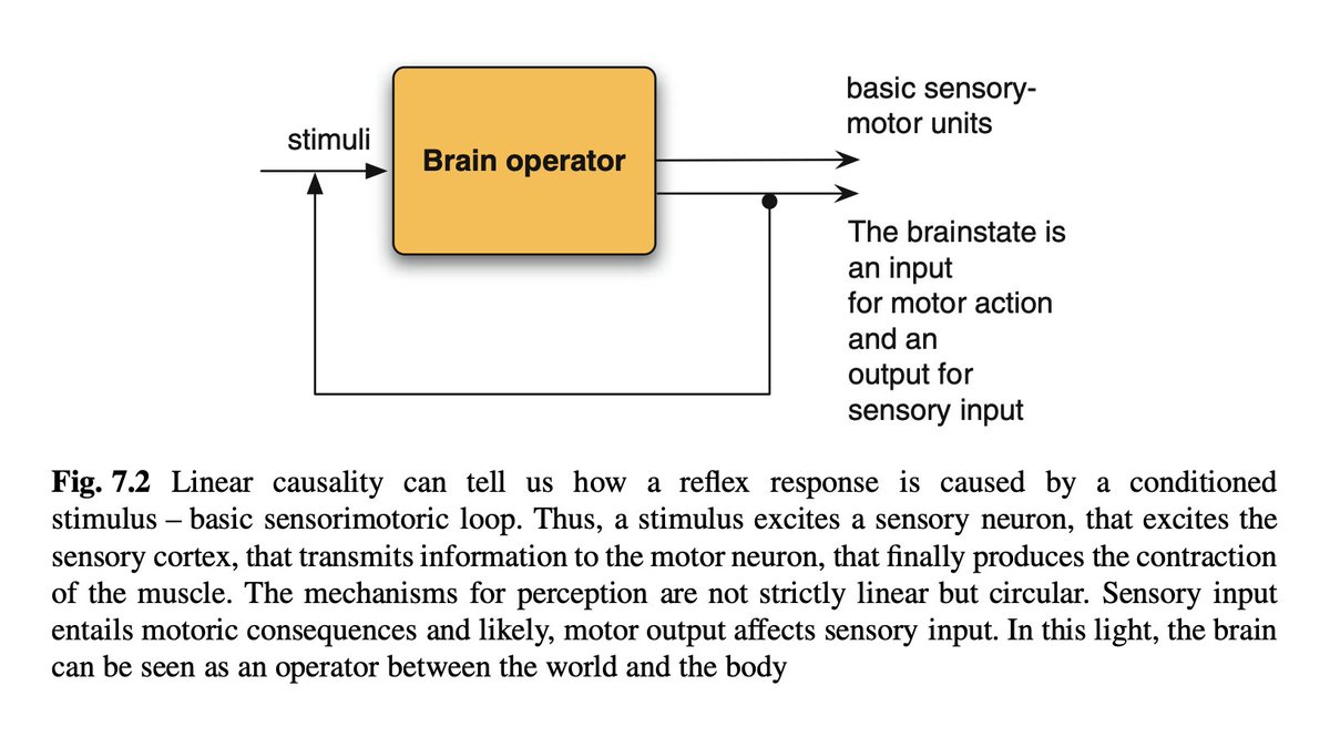 deyrson's tweet image. High level model of the brain as an operator (function) morphism between the world (sensory input) &amp;amp; the body (motor output) objects. #FP #stringDiagrams #categoryTheory 

ƒ : X → Y

Gómez-Ramirez, J. (2014). A New Foundation for Representation in Cognitive and Brain Science.