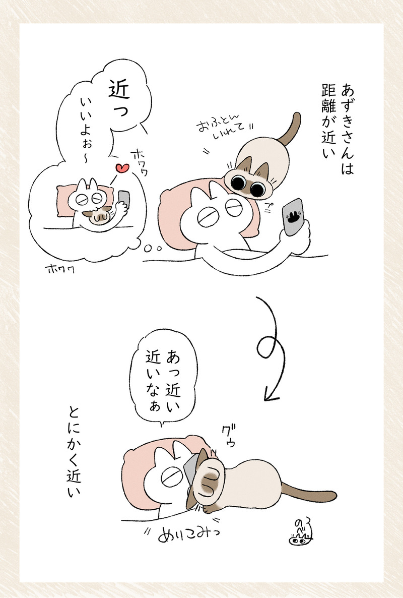 めりこみがち #シャム猫あずきさんは世界の中心 