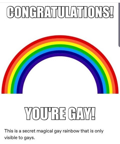 EtienneRainbow's tweet photo. Boom! Ya gay now 🏳‍🌈🌈

#gaypride #NotHetero #LGBT #Rainbow #love #GayOnTwitter #LoveIsLove https://t.co/RP9JIyq0ef