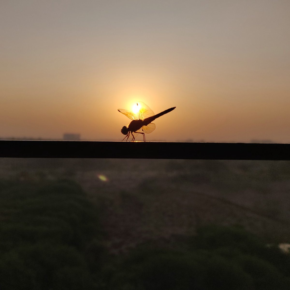 শুভ নববর্ষ Subho Nababarsha
Happy Bengali New Year!
May the new sun of the New Year brighten up the day and the year with new hope and faith.

instagram.com/p/B-8giAGAtEn/…

#subhonababarsha #bengalinewyear #poilabaishak #nababarsha