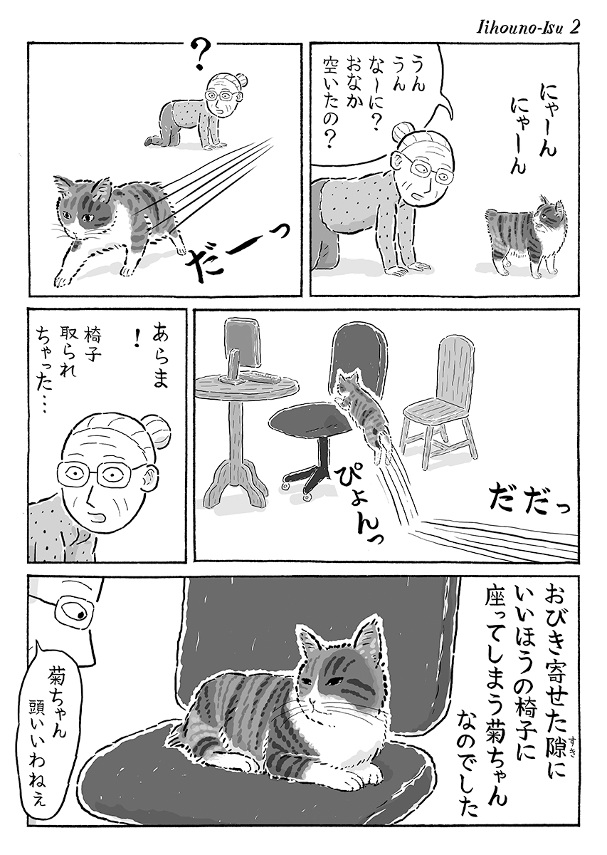 2ページ猫漫画「いいほうの椅子」 #猫の菊ちゃん 