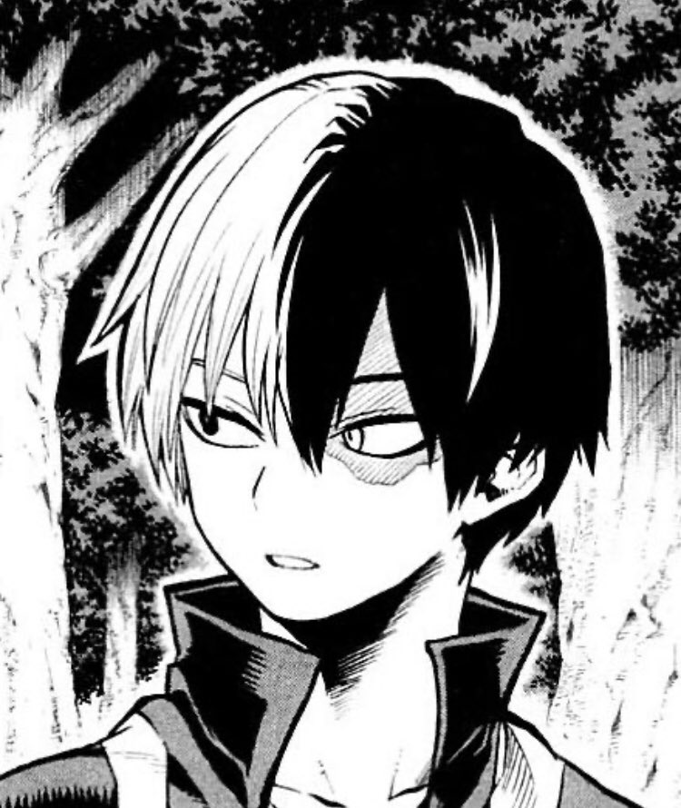 Todoroki shouto - Cha eunwoo (Astro)                         -GORGEOUS HARDWORKING TALENTED BOYS                         -likes minions and cats           -I love them with my whole soul    -DID I MENTION GORGEOUS