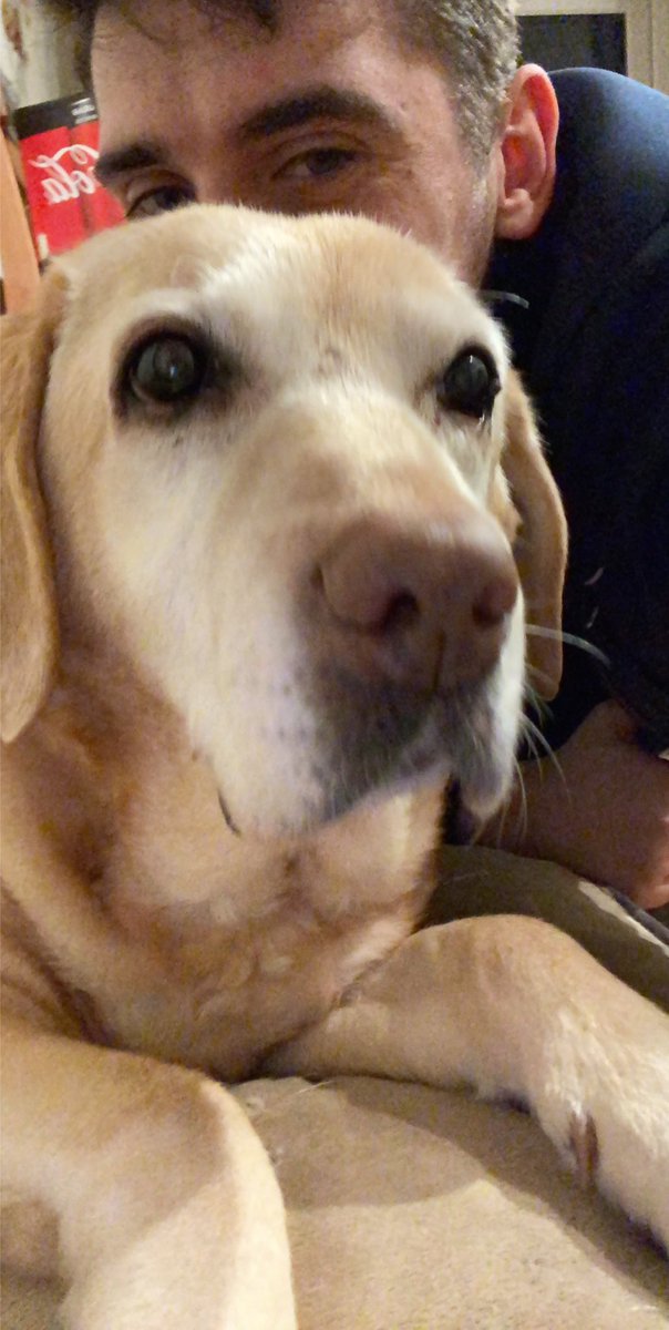 JaackBaker's tweet photo. Anytime Sally barks during the night I’m sprinting down the stairs to see if she’s okay. She had a very serious illness a month ago and has thankfully recovered. We’ve looked after each other for 15 years and I ain’t ready to stop!! #Bestfriend4Life https://t.co/yhUzbesGzN