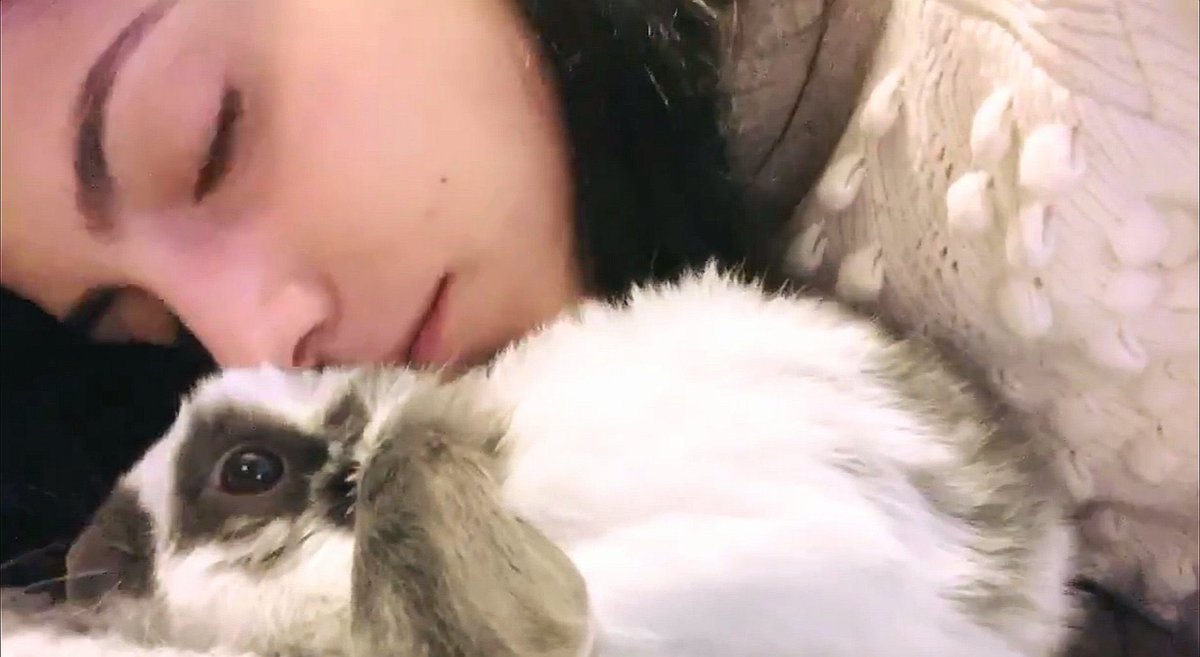♡ bárbara lópez with animals; a thread