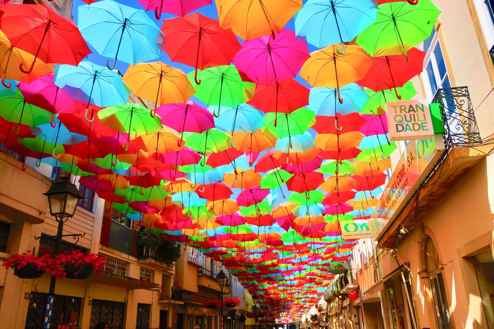 تويتر 世界の絶景 على تويتر アゲダ ポルトガル 傘祭り T Co G8xfar9ayb