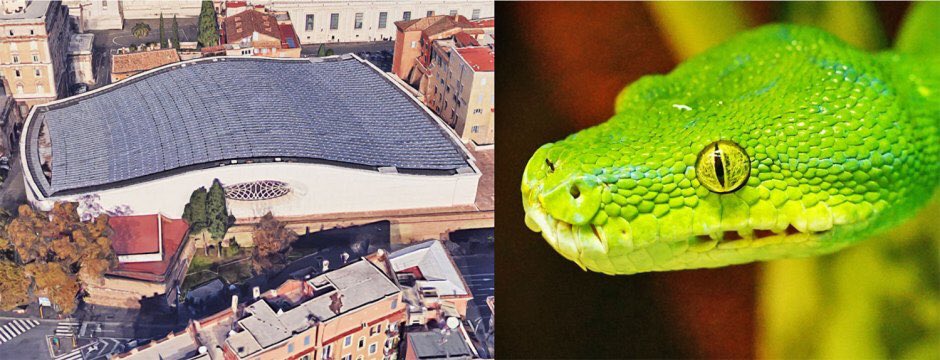 Con estas fotos aéreas podemos apreciar que no es suficiente la serpiente que apreciamos dentro de la Sala de Audiencias, es indispensable que por fuera también luzca así, incluso tuvieron la delicadeza de agregar la pupila vertical, para evitar dudas.