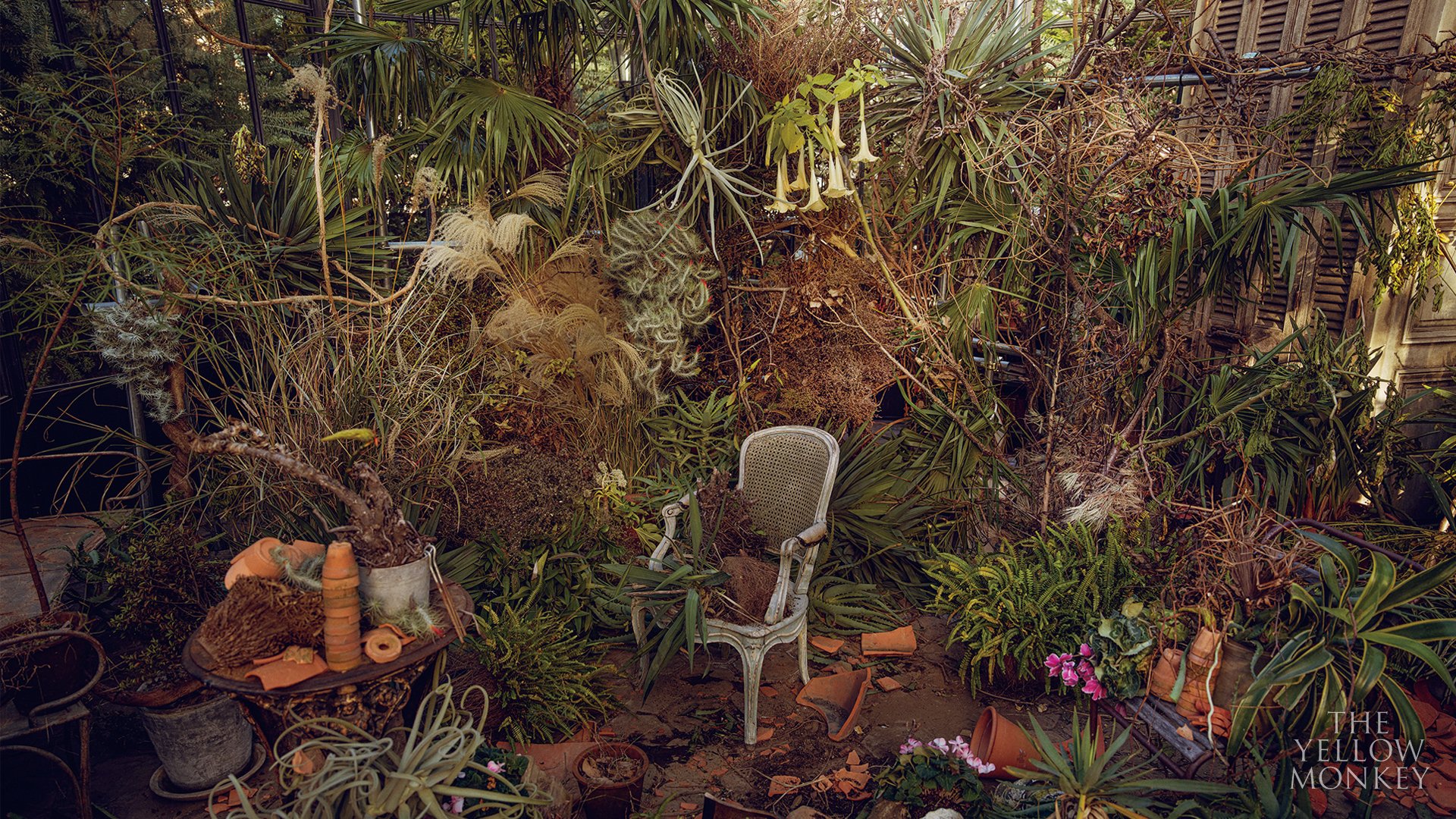 The Yellow Monkey バーチャル背景 Web会議やオンライン通話をthe Yellow Monkey仕様に彩っていただけるバーチャル背景をご用意いたしました さらにbeliever の皆様にはメンバーになりきってお楽しみいただける Tyms Challenge バージョンも ぜひご