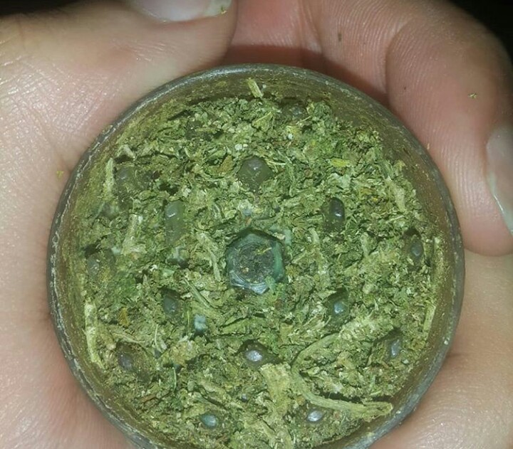 Reida660's tweet image. E pra fica suave eu taco fogo na da braba da Nh