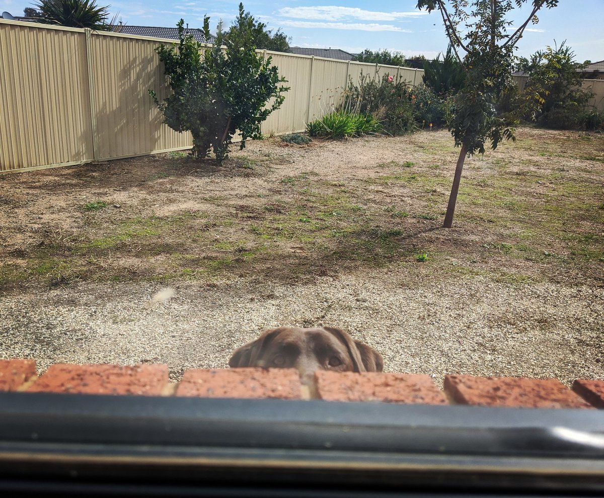 My new bedroom window has a great view 😍