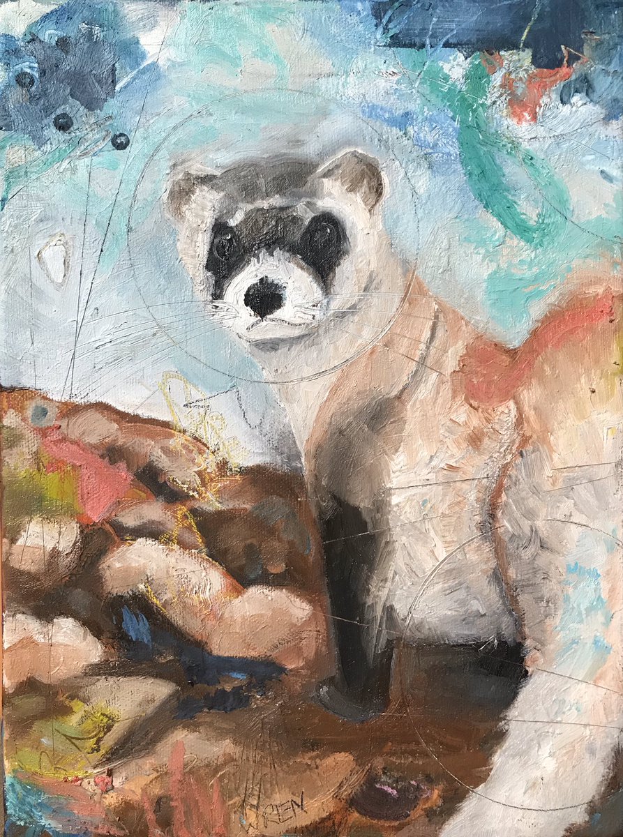 Black footed Ferret in oil mix media #wrendreams #wrendreamsart #wrendreamsonetsy #ferretart #blackfootedferret #wrendreamsdotcom