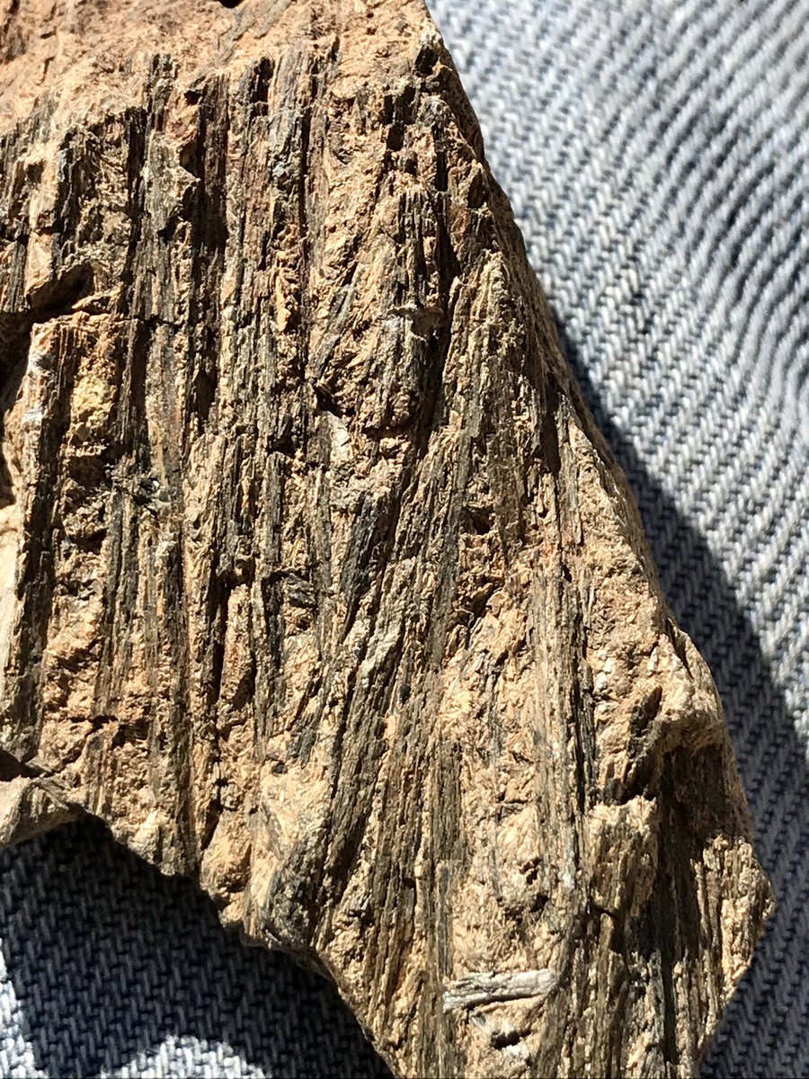 RichardSBlewett's tweet photo. A small piece of 2.7Ga spinifex textured komatiite from the Kalgoorlie Terrane, Eastern Goldfields, Western Australia. The laths are olivine crystals formed as a cooling texture in these high-temp Archaean lavas #rocksathome https://t.co/Xh3DMHw7fx
